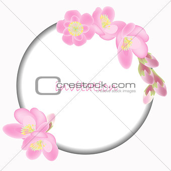 Invitation card with blossom sakura flowers