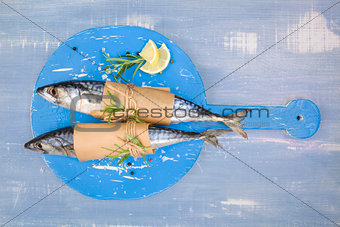 Mackarel fish background. 