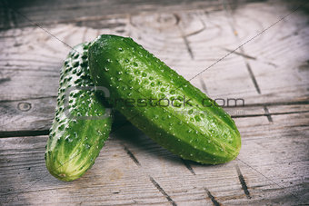 Fresh two cucumbers on wood background