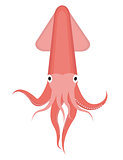 Squid icon logo element. Flat style, isolated on white background. Vector illustration, clip art.
