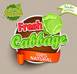 Fresh cabbage logo lettering.
