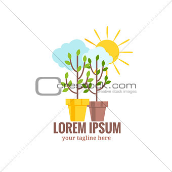Saplings of garden trees or plants in flowerpots