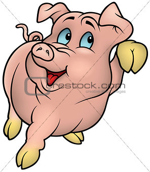 Smiling Pink Piggy