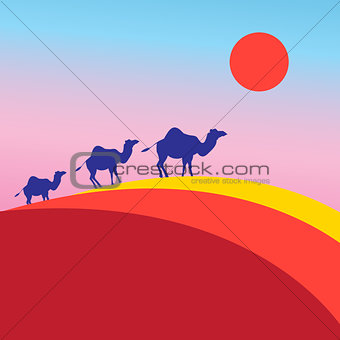 Vector many of camels