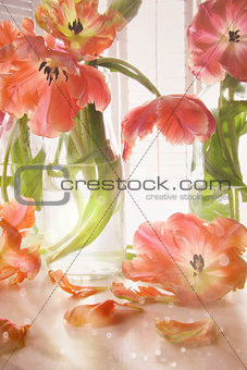 Closeup of tulips near window