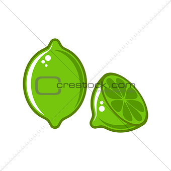 Vector lime illustration isolated on white