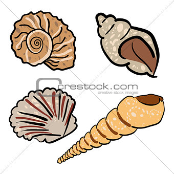 Set of hand drawn seashells