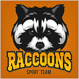 Raccoon head - sport emblem vector illustration