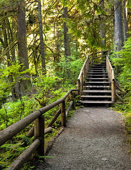 Wooden staircase on a hiking trail