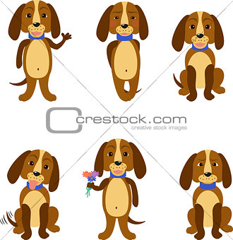 Funny dogs set