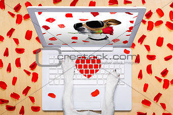 valentines day dog, dating online on a chat