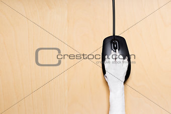 click with paw on computer mouse