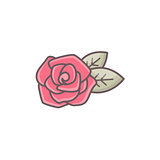 Rose flower isolated on white.