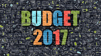 Budget 2017 Concept with Doodle Design Icons.