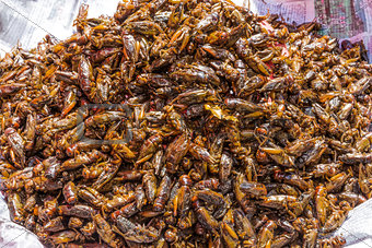 roasted insects local street food Yangon Myanmar