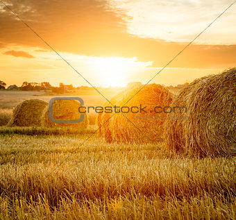 Summer Farm Field with Hay Bales at Sunset.