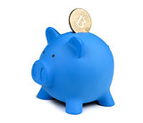 golden bitcoin coin and a piggy bank