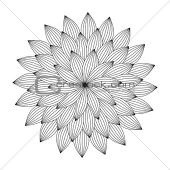 Graphic Mandala with abstract petals . Zentangle inspired style.