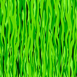 Abstract Line Green Pattern.