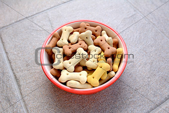 Red bowl full of dog biscuits on grey tile