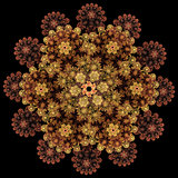 Rose pattern. Mandala pattern. Fractal design. Abstract backgrou