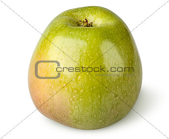 Tasty ripe green apple