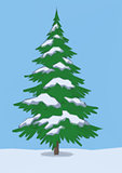 Landscape, Christmas Fir Tree