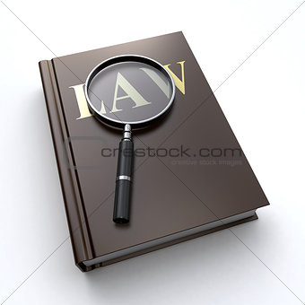 Law book and a magnifier