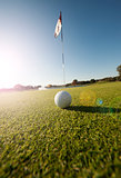 Low angle shot of golf ball on green