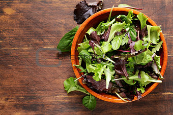 green salad mix - spinach, arugula, lettuce