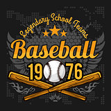 Vintage baseball label and badge - vector stock.