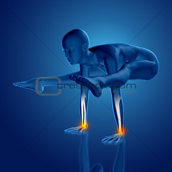 3D female medical figure in yoga pose with wrist bones highlight