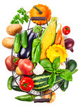 Fresh vegetables harvest in basket with green leaves