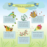 Springtime vector infographic