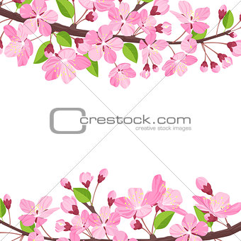 Blossoming cherry spring background. Apple tree of branch flowers and buds frame for text.