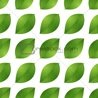 leaves seamless isolated