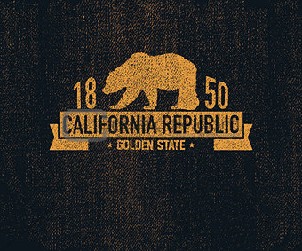 California t-shirt with grizzly bear. T-shirt graphics, design, print.