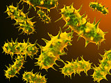 Colony of viruses