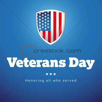 Veterans Day USA banner