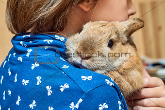 Schoolgirl holding a nice rabbit on shoulder