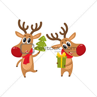 Christmas reindeer in red scarf, cartoon vector illustration