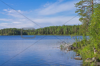 Lake in Karelia.