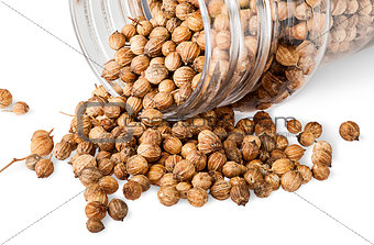 Coriander seeds are poured out from a jar