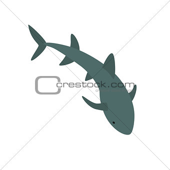 Nurse Shark vector illustration