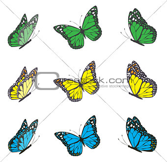 vector butterfly set