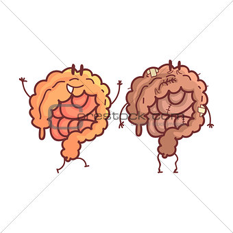 Large Intestine Human Internal Organ Healthy Vs Unhealthy, Medical Anatomic Funny Cartoon Character Pair In Comparison Happy Against Sick And Damaged