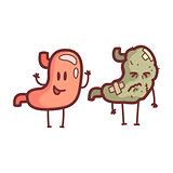Stomach Human Internal Organ Healthy Vs Unhealthy, Medical Anatomic Funny Cartoon Character Pair In Comparison Happy Against Sick And Damaged