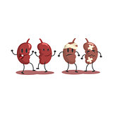 Kidneys Human Internal Organ Healthy Vs Unhealthy, Medical Anatomic Funny Cartoon Character Pair In Comparison Happy Against Sick And Damaged