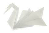 Swan of origami.