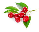 Fresh cherries with green leaves